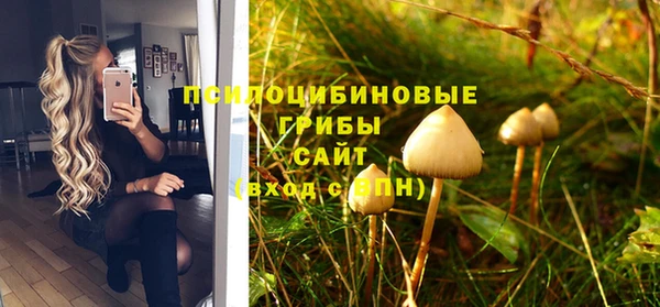 мяу мяу мука Арсеньев