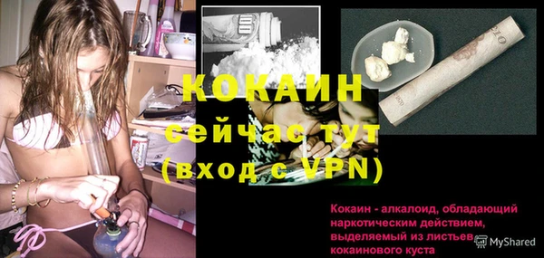 мяу мяу мука Арсеньев