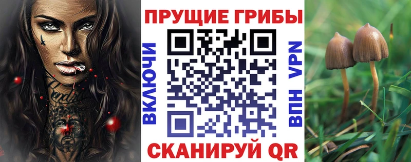 Псилоцибиновые грибы Cubensis  кракен как войти  Тетюши  магазин  наркотиков 